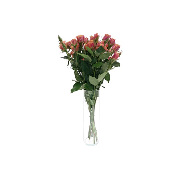 Yellow and Orange Spray Roses