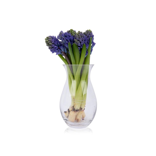 Blue Hyacinth Bouquet