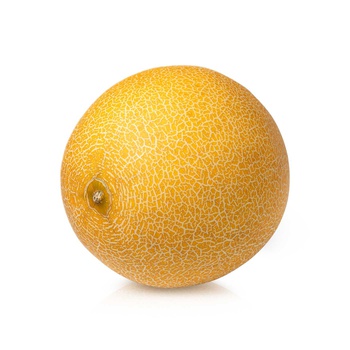 Galia Melon Spain