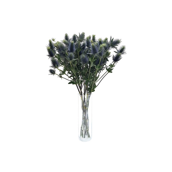 Eryngium Bunch