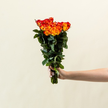 Orange and Yellow Roses