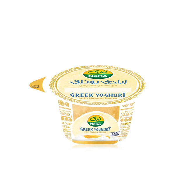 Buy Nada Greek honey yoghurt 160g in UAE