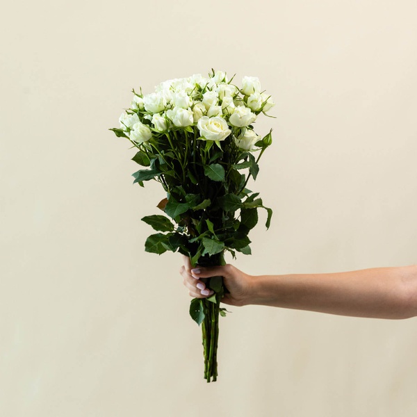 Off-White Spray Roses