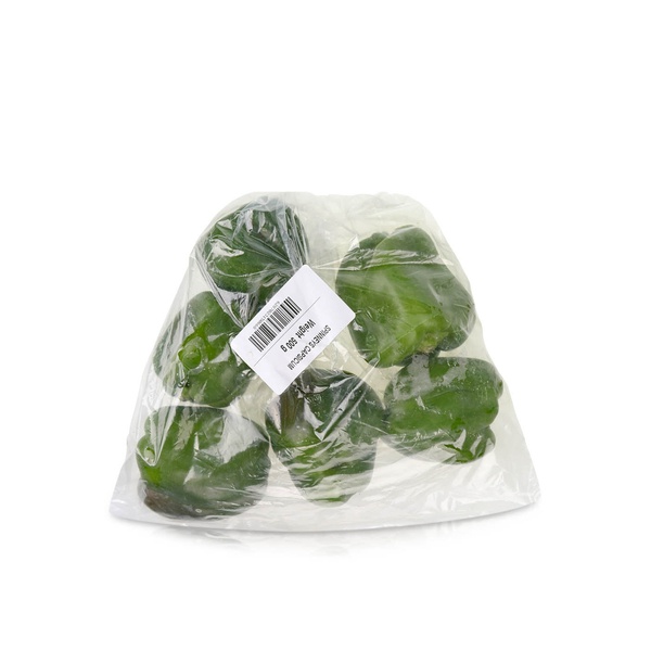 Spinneys Green Capsicum KSA 500g