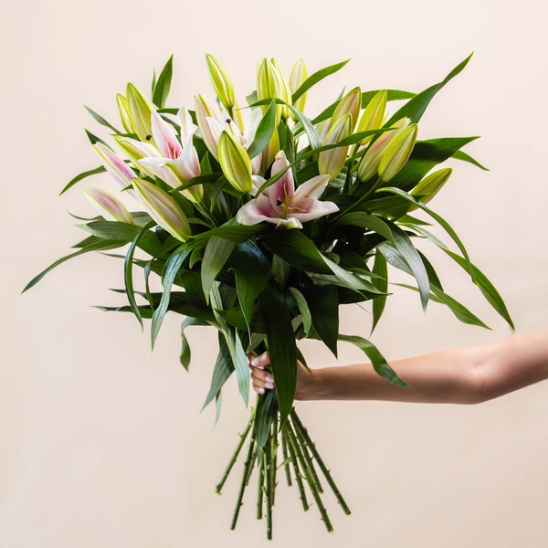 Oriental Pink Lilies