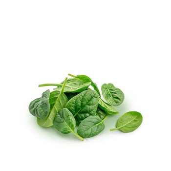 Organic Little Leaves Baby Spinach