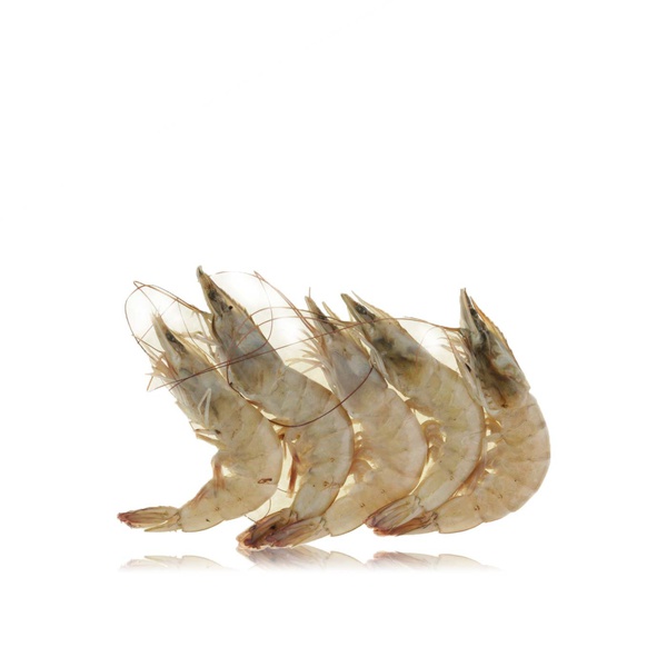Medium Prawns India