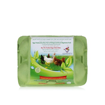 Al Jazira Eco and Vegetarian Fed Eggs x 6