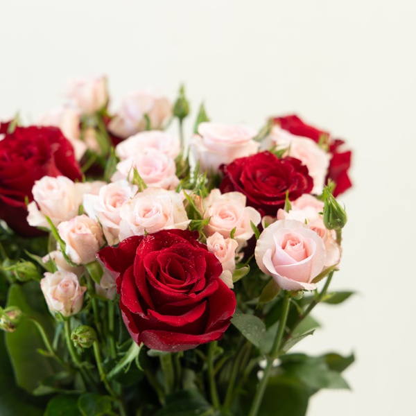 Valentine's Red Spray Roses