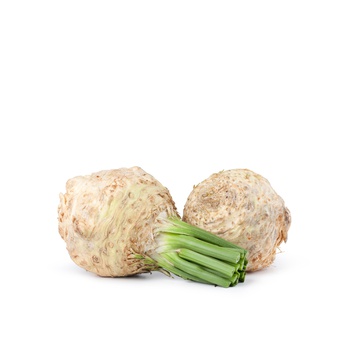 Celery Root Holland
