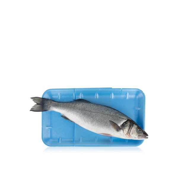 Buy Large sea bass Turkey in UAE