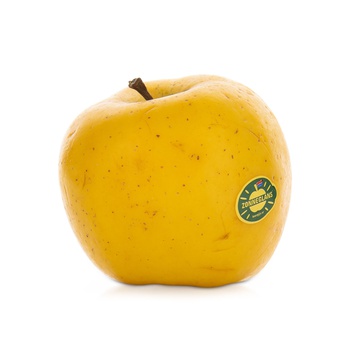 Zonneglans Apple Holland