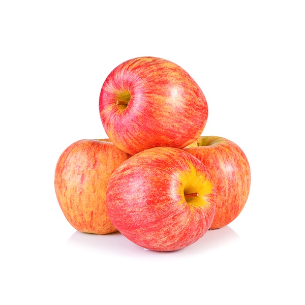 Royal Gala Apple New Zealand