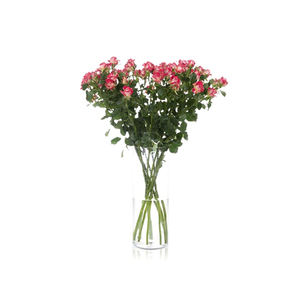 Spray Roses Bala