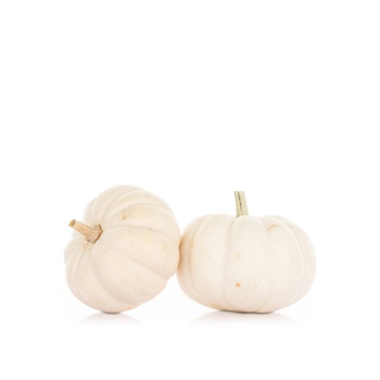 Casparita Mini White Pumpkin USA