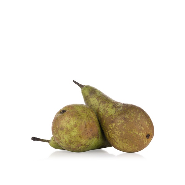 Conference Pears Holland