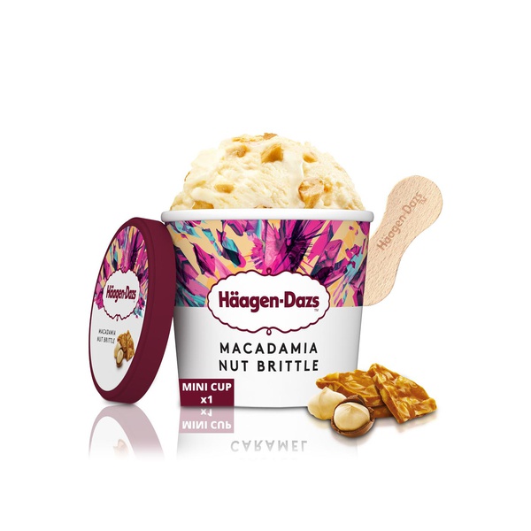 Buy Häagen-Dazs macadamia nut brittle ice cream 100ml in UAE