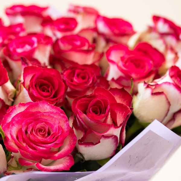 Luxury Pink and White Roses