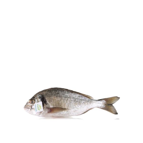 Buy Organic UAE sea bream per kg in UAE