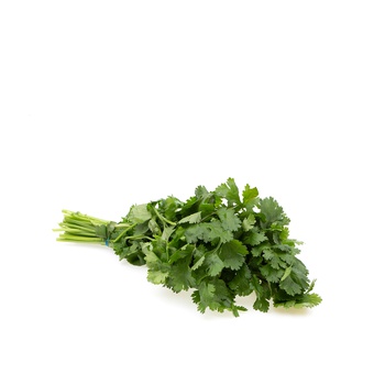 Coriander Bunch Oman