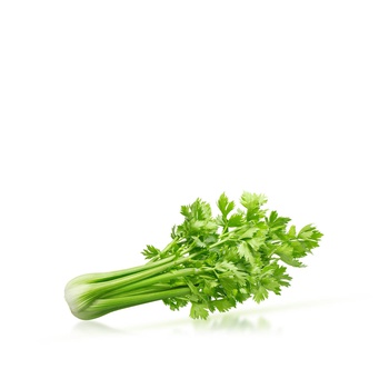 Lakeside Organic Celery