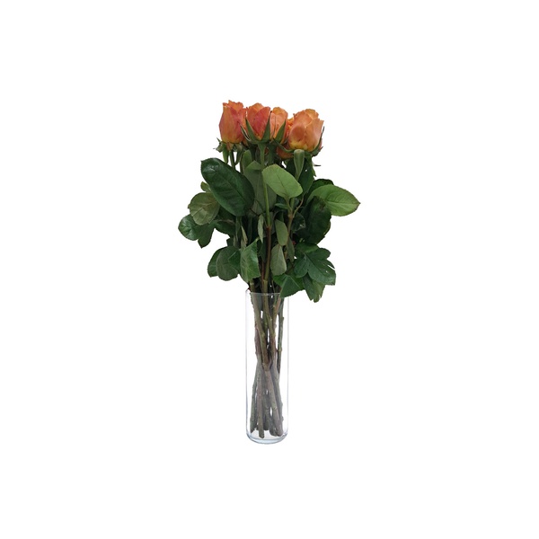 Luxury Orange Roses
