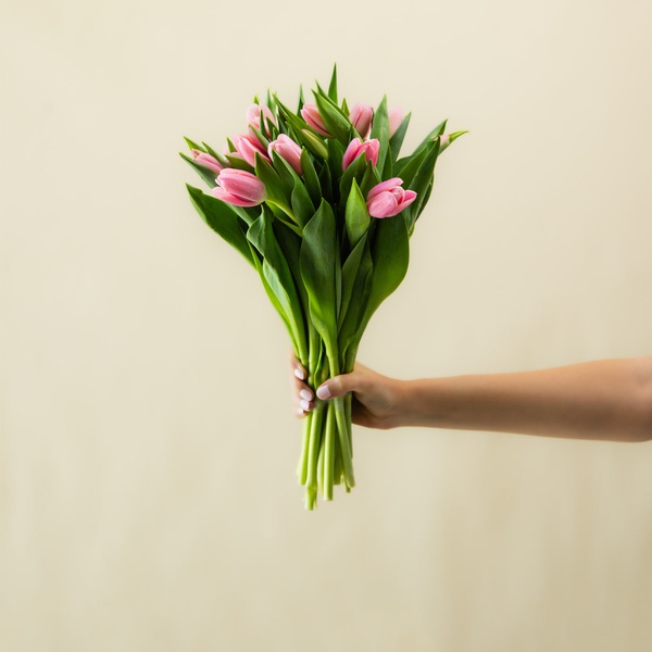 Tulip Bunch Pink