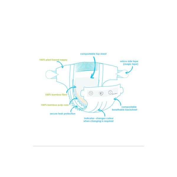 Pure Born New Born Nappies x 34