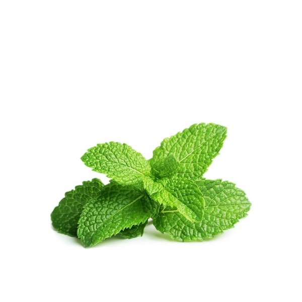 Click & Grow Smart Garden Plant Pods Peppermint x 3