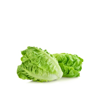 Romaine Lettuce Jordan