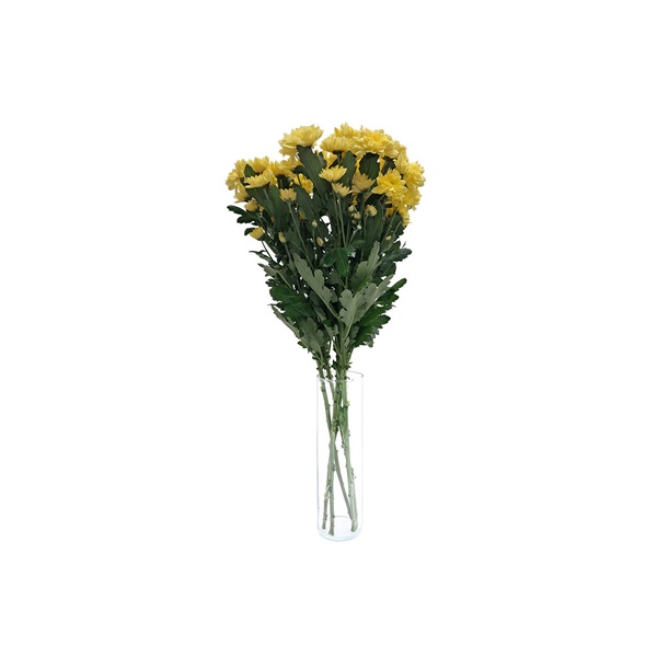 Yellow Chrysanthemums