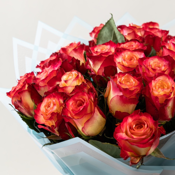 Deluxe Roses