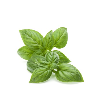 Spinneysfood basil 50g