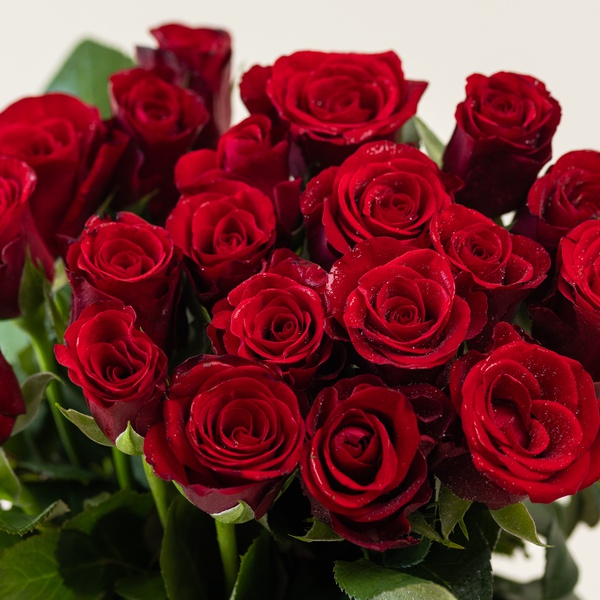 Red Roses