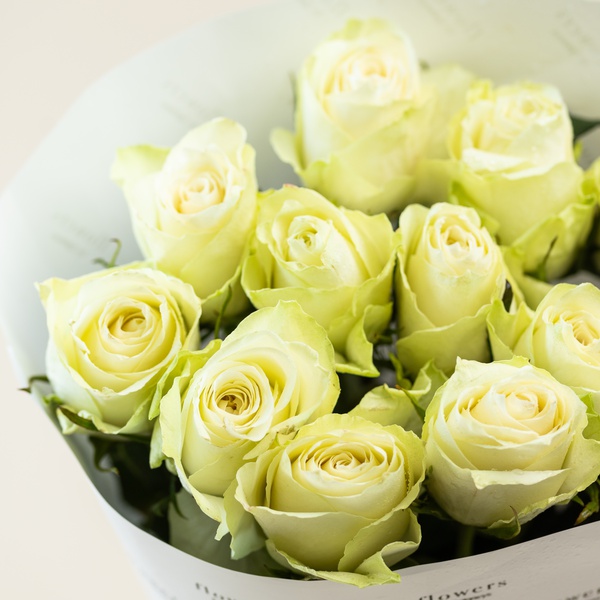 Luxury White Roses