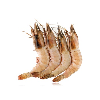 Large Prawns India