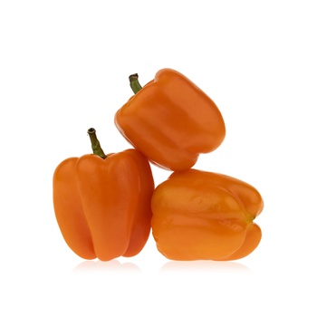 Orange Capsicum Holland KG