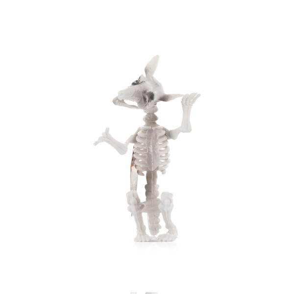 PMS Halloween Assorted Skeleton Animal Decorations