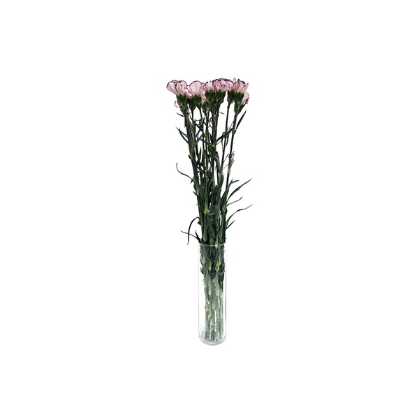 Lavender Carnation Bunch