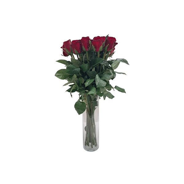Red Roses