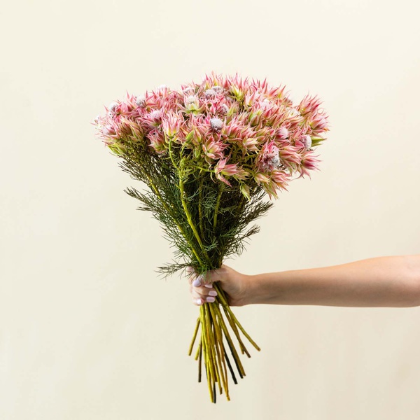 Blushing Bride Bunch