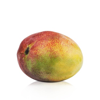 Kent Mango Peru KG