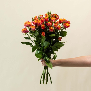 Yellow and Orange Spray Roses
