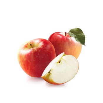 Honeycrisp Large Apple Usa