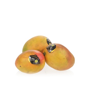 Tommy Atkins mango Brazil