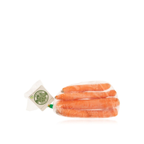 Organic Carrots Holland 500g