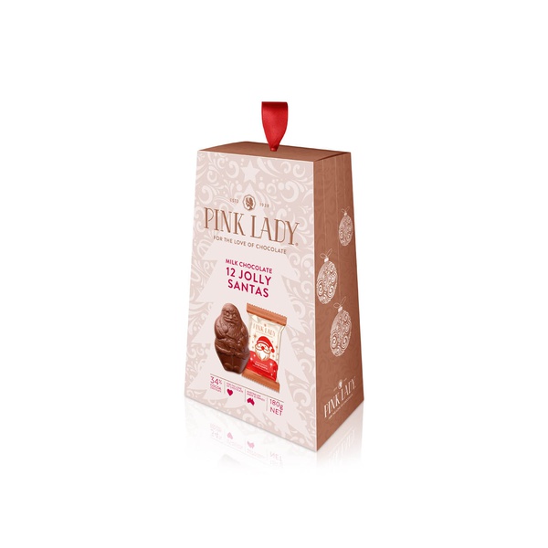 Fynna Foods Milk Chocolate Santa 180g