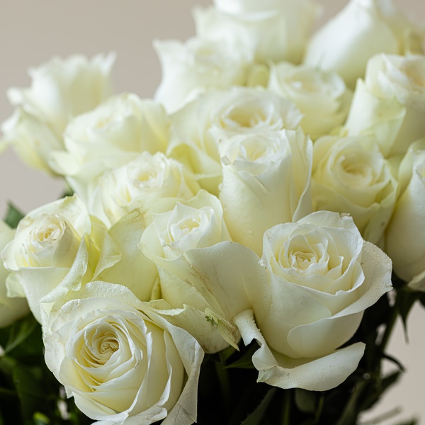 White Roses