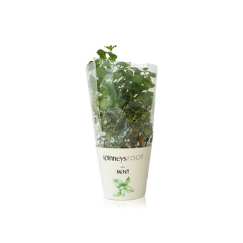 Spinneysfood Mint Plant