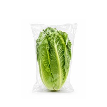 G’s Romaine Single Lettuce UK